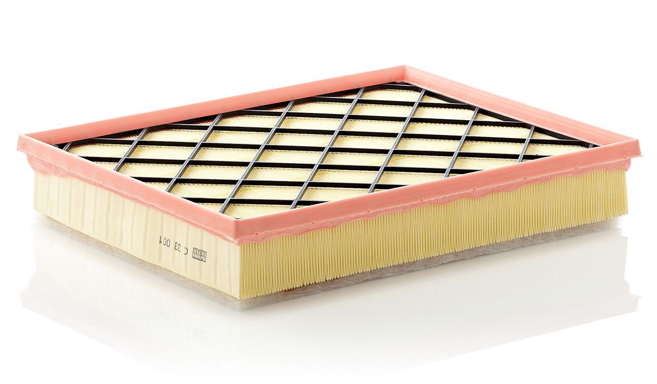 MANN C 33 001 | BMW X6 E71 35DX Hava Filtresi | 7798342