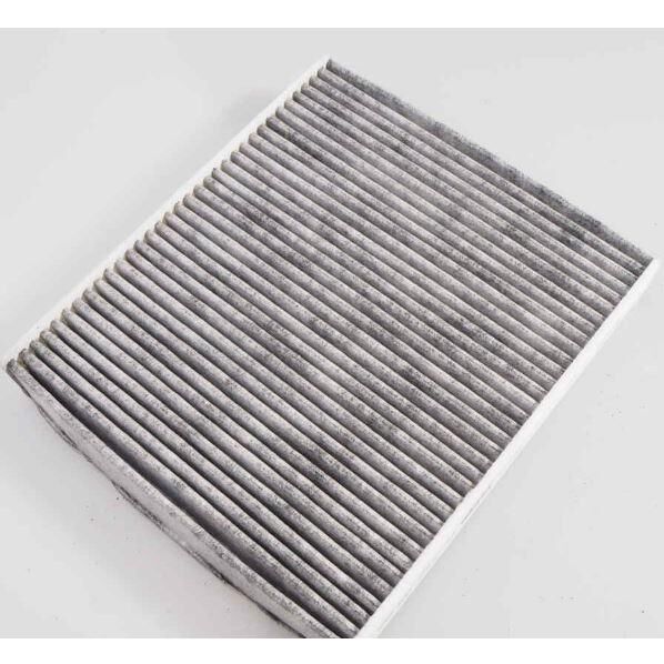 EUROFILTER EFC520367 | Audi A1 Karbonlu Polen Filtresi | 6R0819653